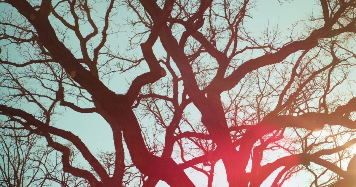 How to Repurpose One Instagram Post into a Blog, Reel, and Email